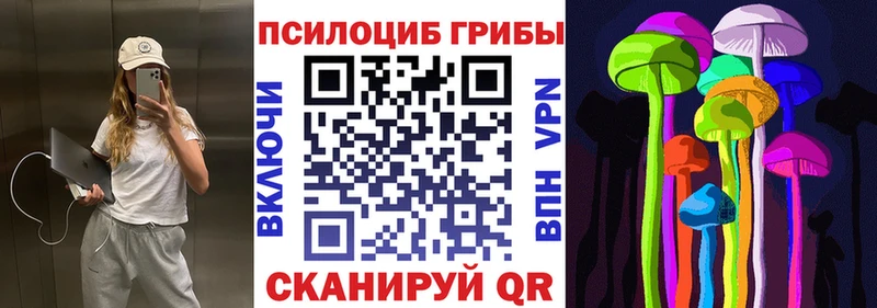 хочу наркоту  Тутаев  Галлюциногенные грибы прущие грибы 