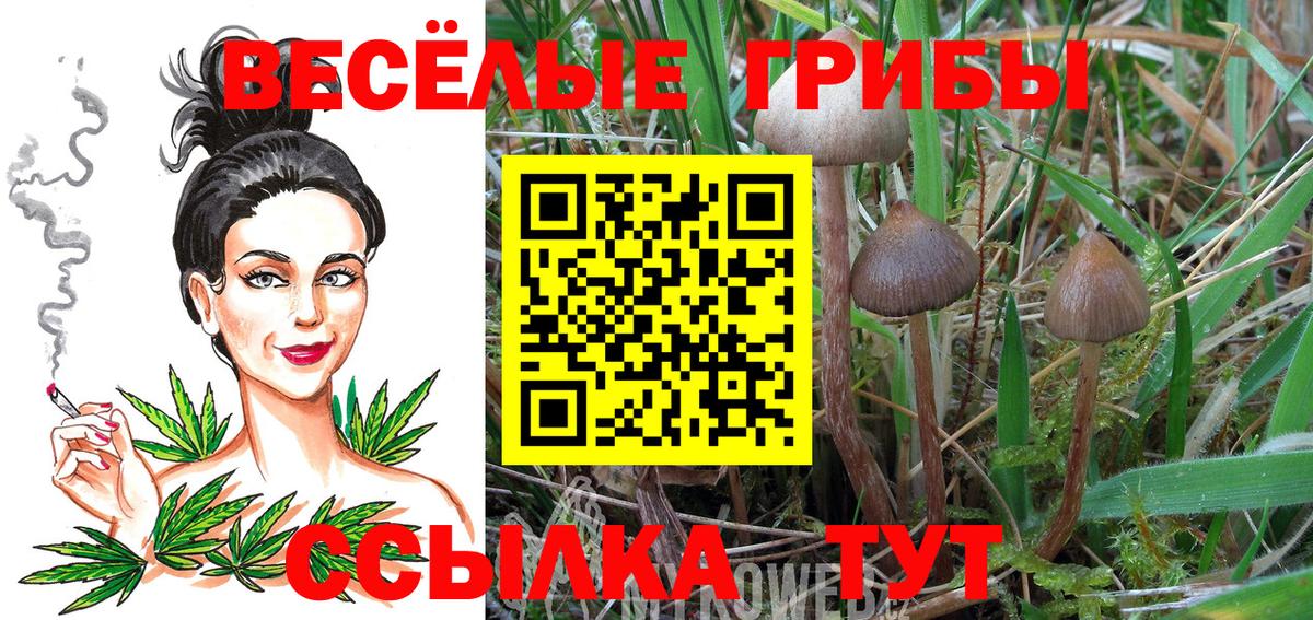 Галлюциногенные грибы ЛСД  Псилоцибиновые грибы Psilocybe  Тутаев  Вход с VPN 